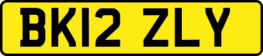 BK12ZLY
