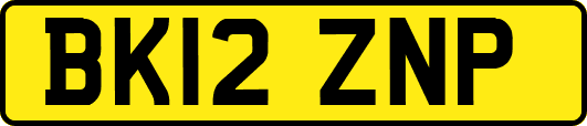 BK12ZNP