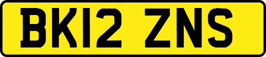 BK12ZNS