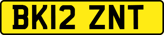 BK12ZNT