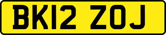 BK12ZOJ