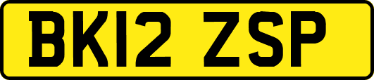 BK12ZSP