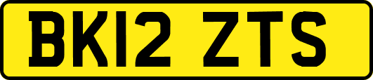 BK12ZTS