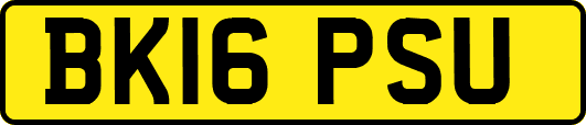 BK16PSU