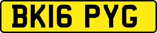 BK16PYG