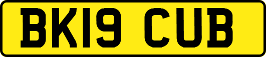 BK19CUB