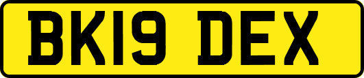 BK19DEX