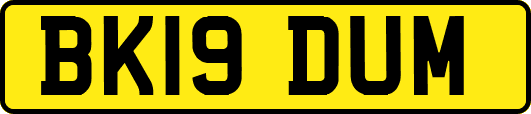 BK19DUM