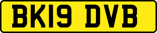 BK19DVB