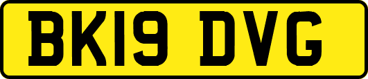 BK19DVG