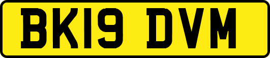 BK19DVM