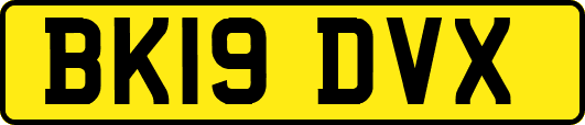 BK19DVX