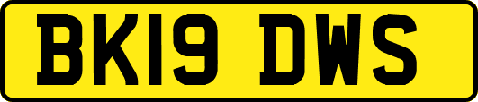 BK19DWS