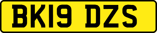 BK19DZS