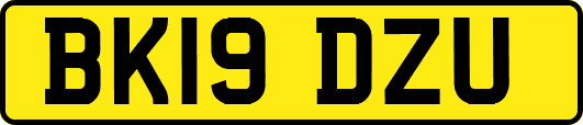 BK19DZU