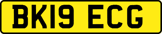 BK19ECG