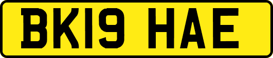 BK19HAE