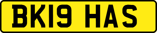 BK19HAS