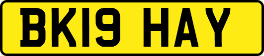 BK19HAY