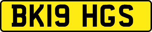BK19HGS