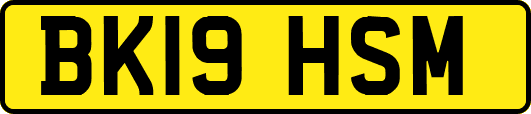 BK19HSM