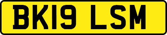 BK19LSM