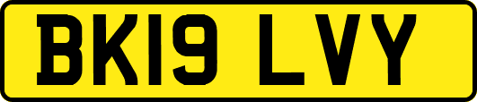 BK19LVY