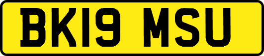 BK19MSU