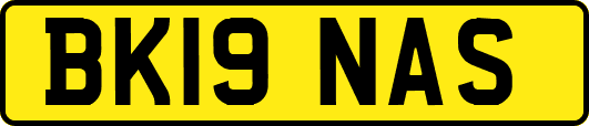 BK19NAS
