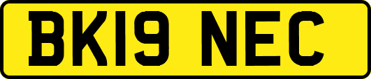 BK19NEC
