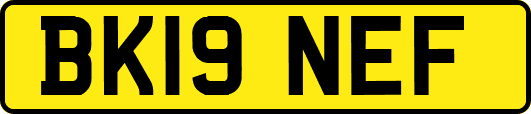 BK19NEF