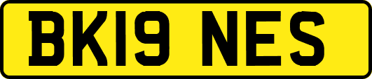 BK19NES