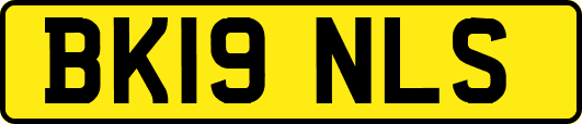 BK19NLS