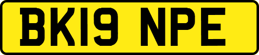 BK19NPE