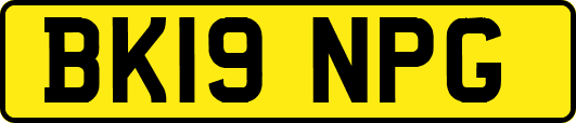 BK19NPG