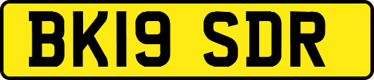 BK19SDR