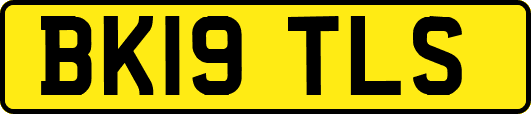 BK19TLS