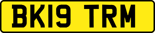 BK19TRM