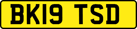 BK19TSD