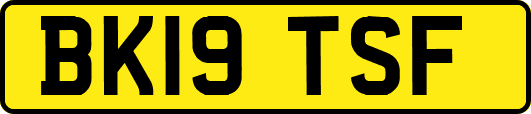BK19TSF