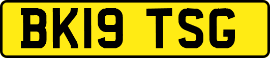 BK19TSG