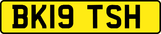 BK19TSH
