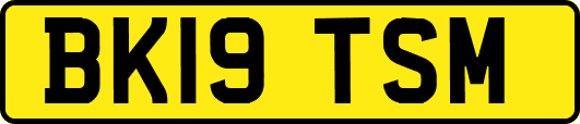 BK19TSM