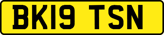 BK19TSN