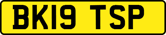 BK19TSP