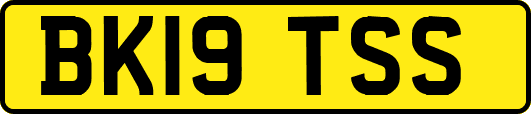 BK19TSS