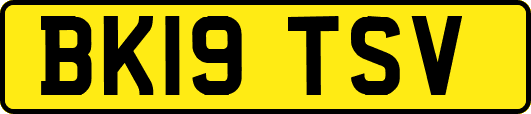BK19TSV