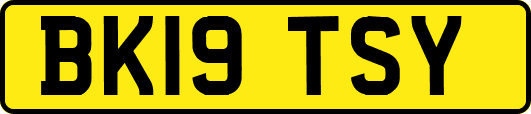 BK19TSY