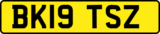 BK19TSZ