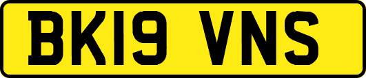 BK19VNS